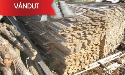 30,164 m cubi material lemnos